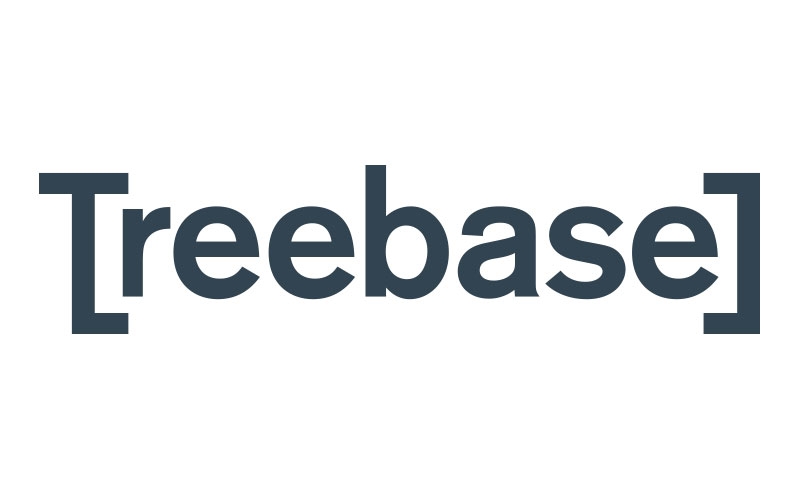 Treebase Consulting